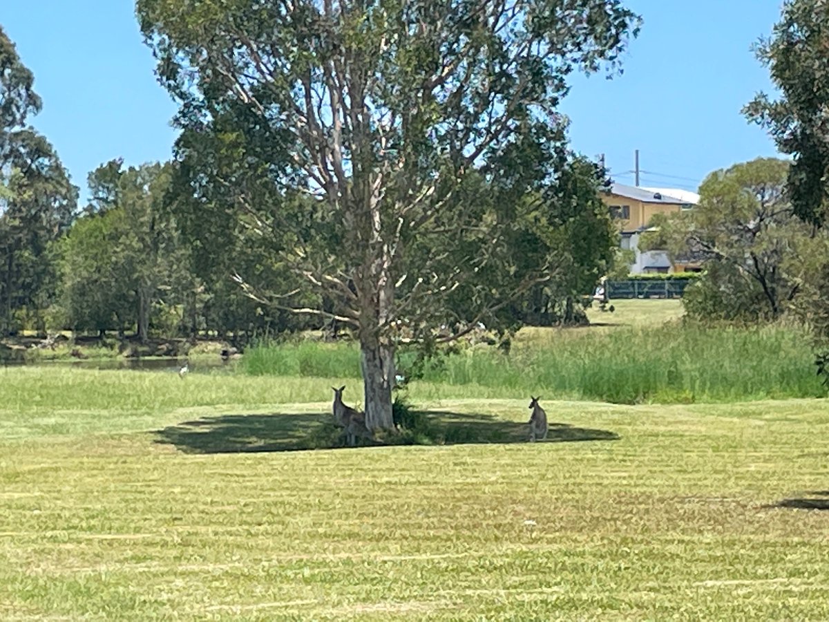 Matt Brett tweet media