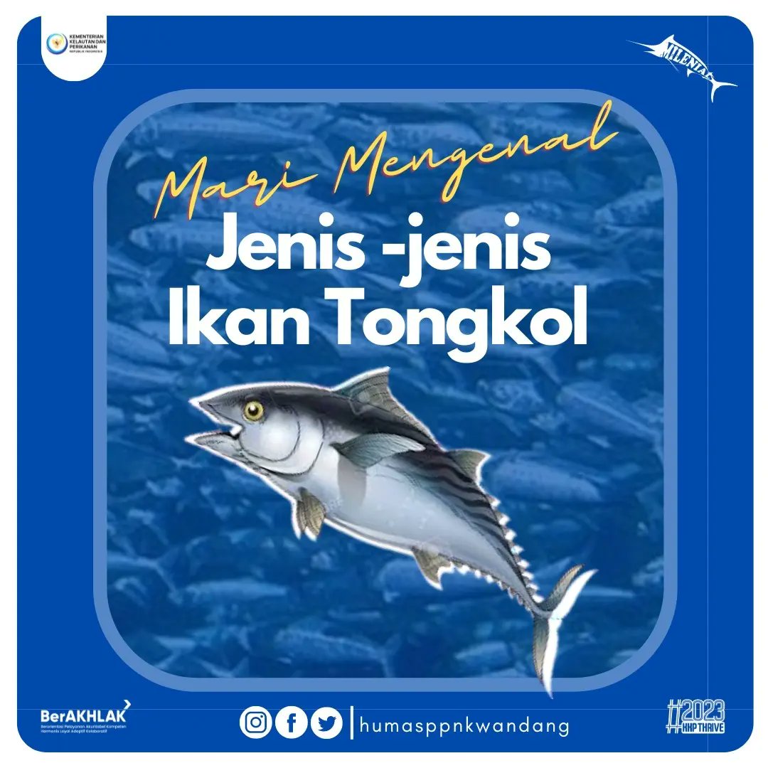ppn_kwandang's tweet photo. Haloo #SahabatBahari

Ikan Tongkol adalah golongan ikan tuna kecil dengan ciri badan memanjang, tidak memiliki sisik dengan tektur sirip punggung keras. Ikan ini termasuk dalam famili Scombridae. #Sahabatbahari yuk belajar cara identifikasi jenis-jenis Ikan Tongkol
#KKPThrive https://t.co/xrssyqWRD9