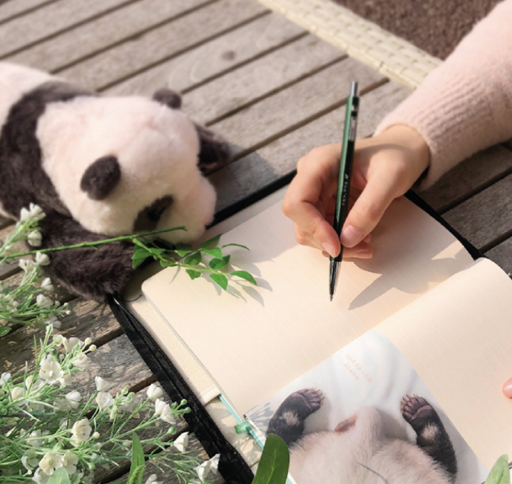 🐼 까꿍>< 🐼

귀엽다..귀여워..
너의 모든 순간이 귀엽다..

🐼 #에버랜드 #판다 #푸바오 굿즈 🎋
🖤 까꿍 보들 인형(손에 자석을 쥐고 있어요)
🖤 보들라잉 쿠션
🖤 북 파우치
🖤 다이어리
🖤 연필 세트
🖤 모나미 펜

🐼자세히 보기: memez.kr/channel/shop.p…