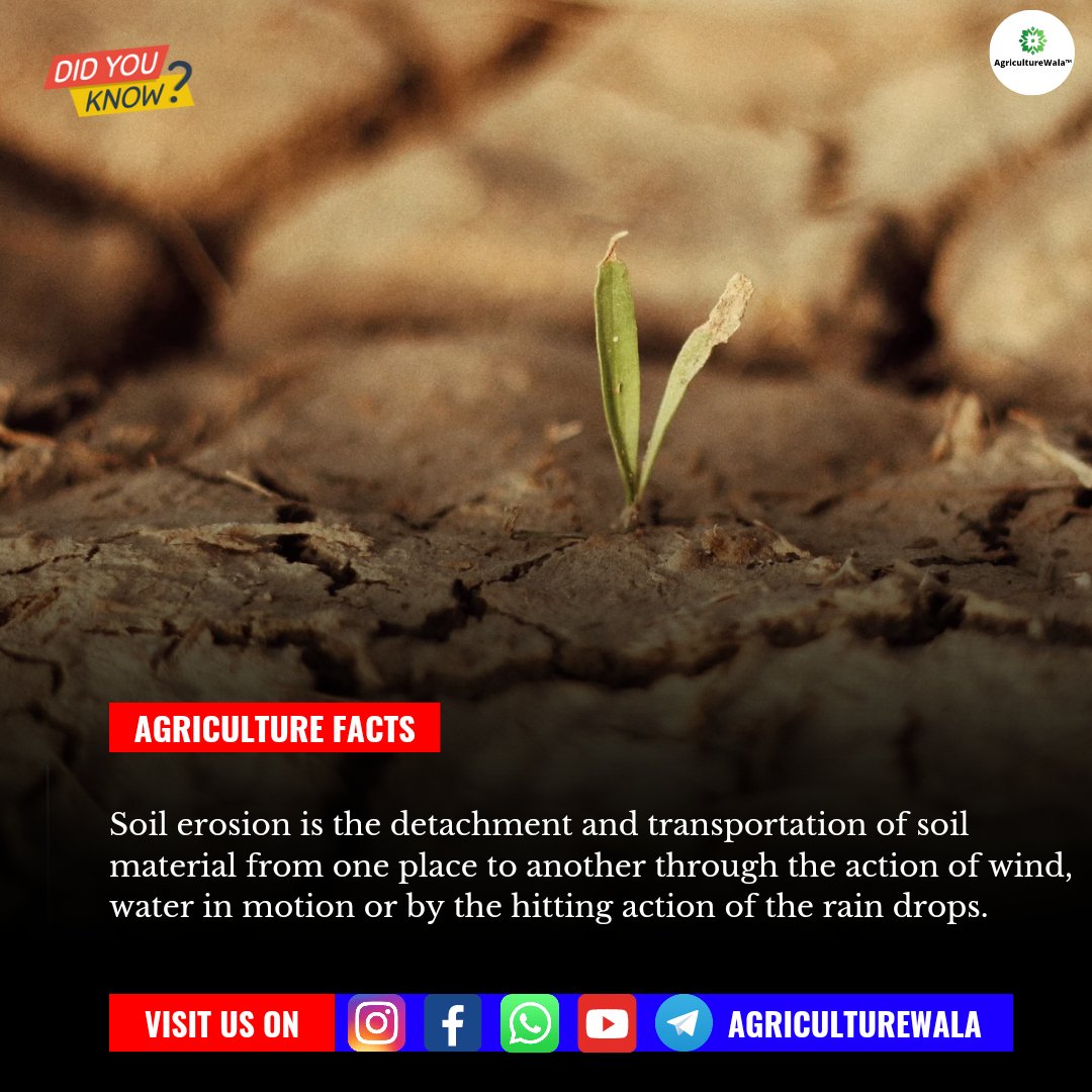Did You Know
.
.
.
#agriculturewala #agriculture #agriculturemachinery #bikasbaibhav #memes #soil #erosion #krishi #farmers