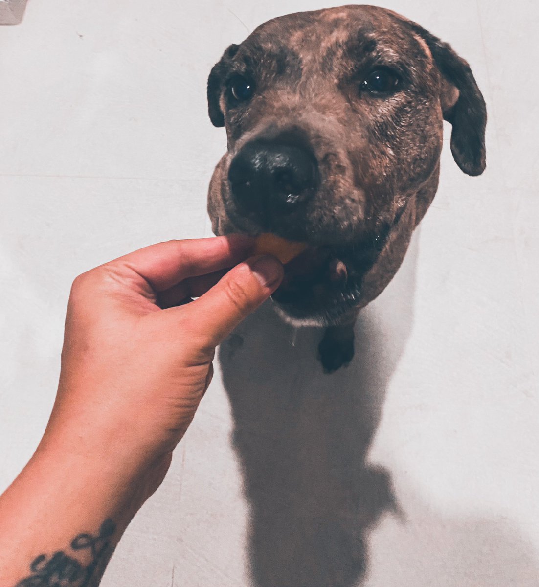 ⓃⒶⓉ⚡️ #AssangeIsFREE 🇵🇸 tweet media