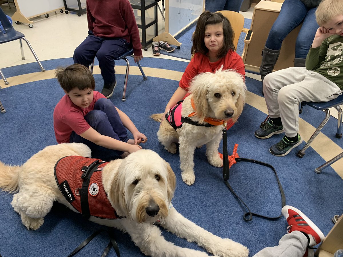 MECC_Counselor2's tweet photo. Shiner & Gibson had a wonderful Wednesday helping some special friends work on size & scale. They of course snuck in some cuddles too! 💚 #MVPs #MostValuablePups #ShinerLove #GibsonSparkles @MasonSchools @MrsBly_MECC @schatzj9 https://t.co/uEfvQs1c1J