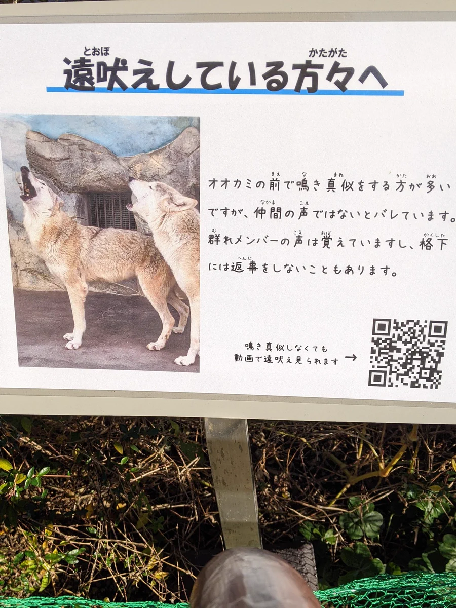 【遠吠えしている方々へ】天王寺動物園より残念なお知らせです。。