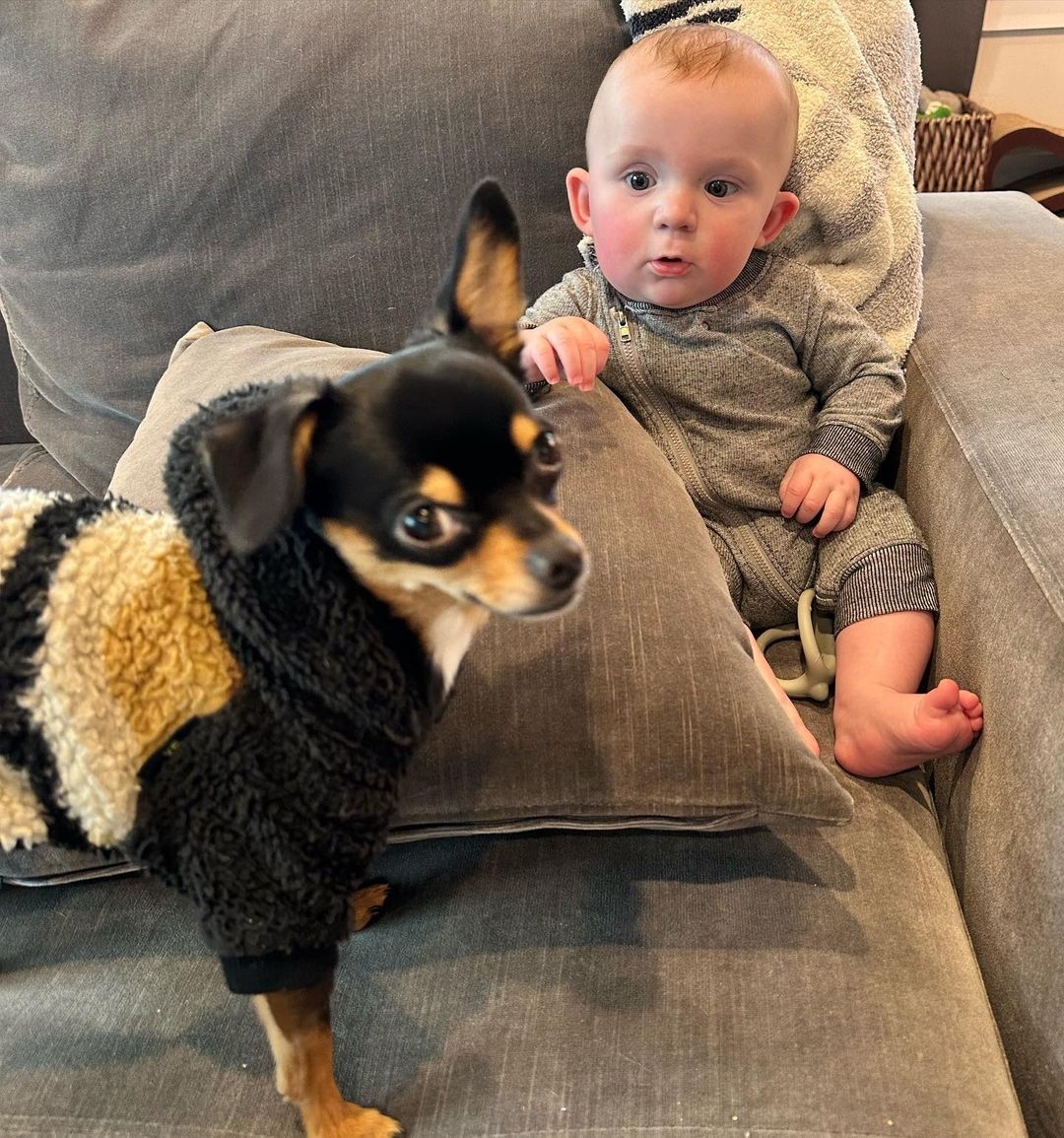 fitwarmofficial's tweet image. With my little hooman, who has the best outfit?
 #dog #doglife #dogdaily