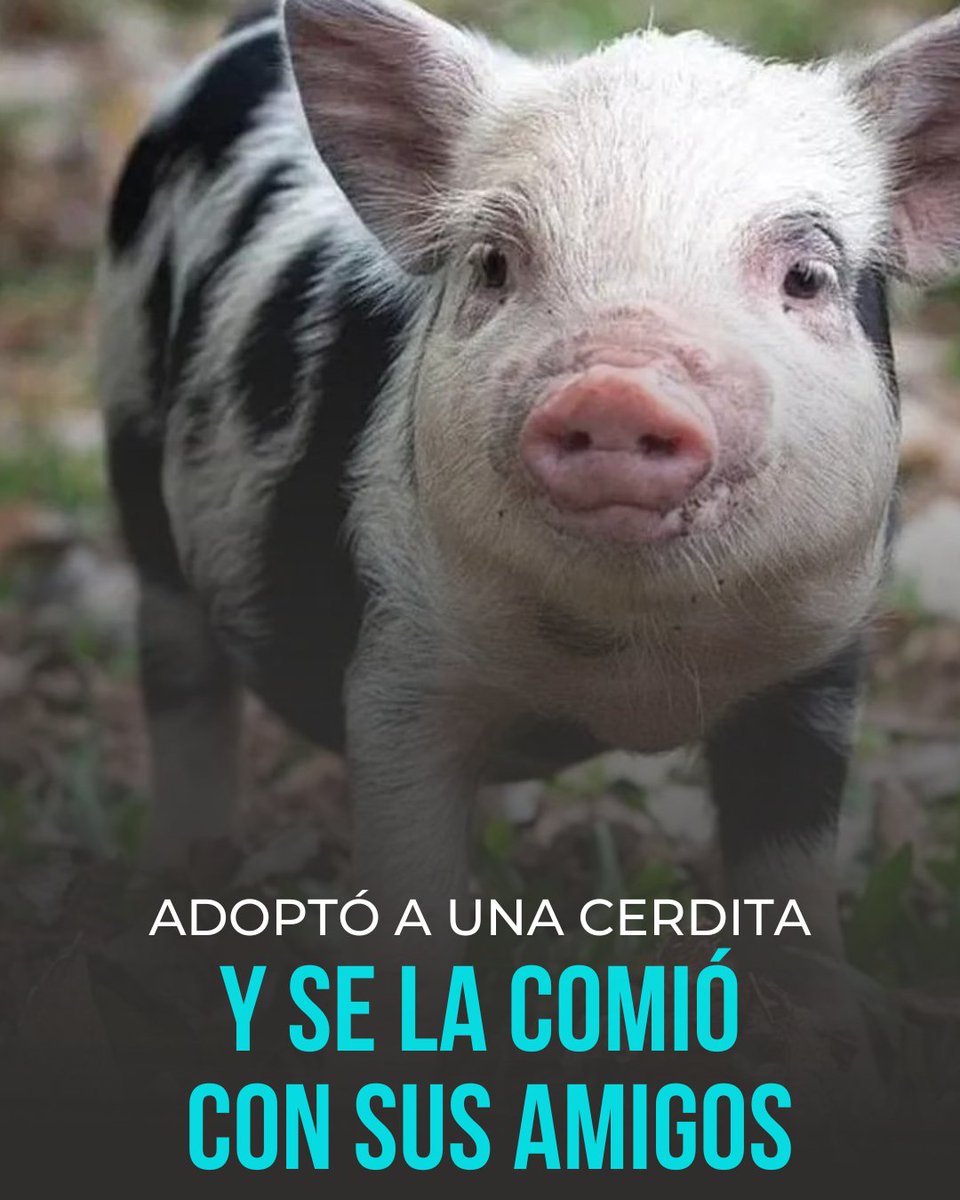 EcuadorTV's tweet photo. #PorSiSeLoPerdio El caso causó indignación en Argentina: https://t.co/h6LRrvLppu https://t.co/GVUZHNaEZZ