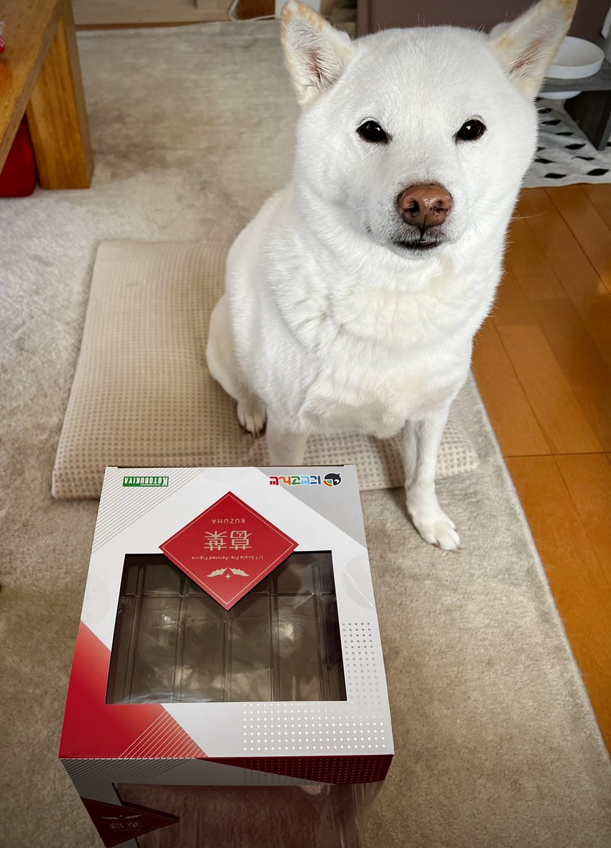 muto_chi's tweet photo. コトブキヤさんより葛葉さんフィギュアのサンプルが届きました♪
(ありがとうございます🙏)

銀次郎、あとでじっくり見せてやるからしばしまたれよ🎁✨🕺 https://t.co/bJ46asU9fg