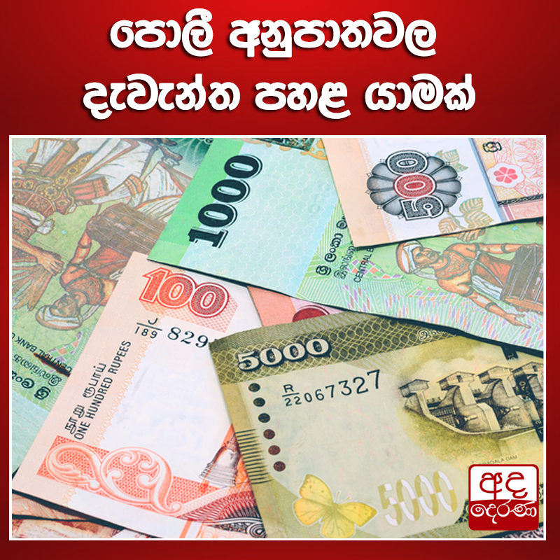adaderanasin's tweet photo. පොලී අනුපාතවල දැවැන්ත පහළ යාමක්
වැඩි විස්තර - https://t.co/IFVom3Mp2q https://t.co/4dbi5ojVTE