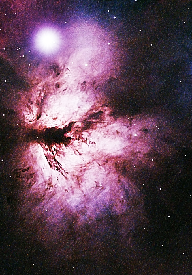 freedomfeens's tweet photo. The Flame Nebula would make a cool tattoo. This is my photo of it.  

Also, it reminds me of a tree on our property...It's growing in the mud of a stream. Tree is healthy, but leaning diagonally due to roots growing in mud. 
#astrophotography #CS2U #space #nature #trees https://t.co/utkPdUFeh5