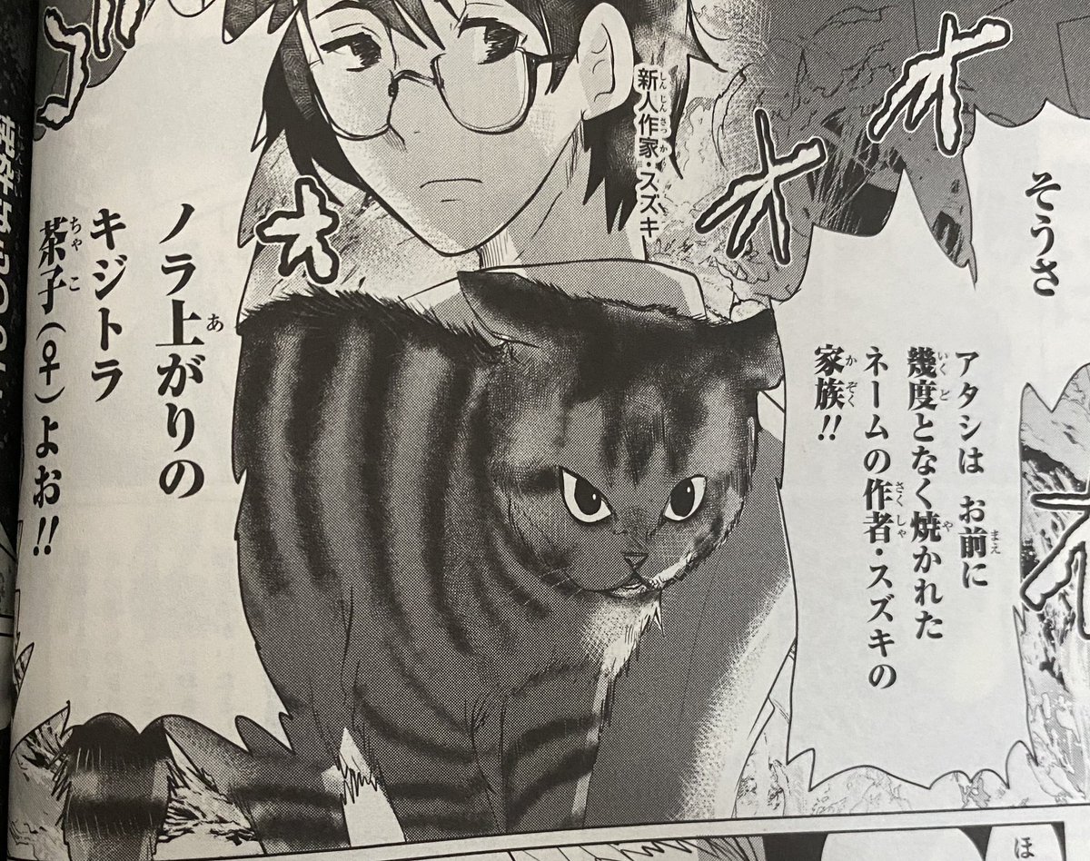 色んな編集さんがいらっしゃるけど、「悪いクソ編集にネコが復讐する漫画」を会議に通し、紙と電子の単行本を出してくださる担当さんと会社もございます。KADOKAWAさんっていうんですけど…
https://t.co/rvqTJun4Y0 