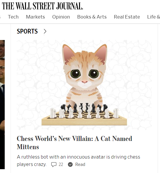 Mittens the cat on the Wall Street Journal. : r/chess