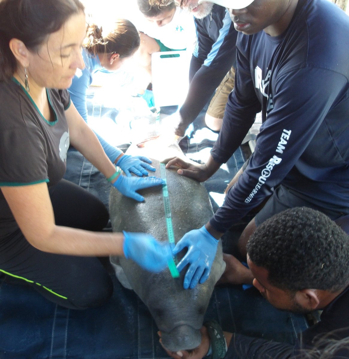 Nataly Castelblanco tweet media