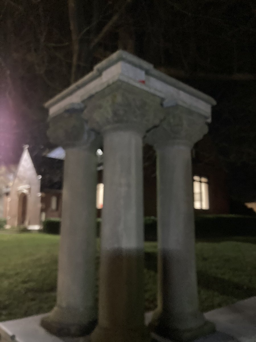 sunmonkey9's tweet image. #monkeyshines2023