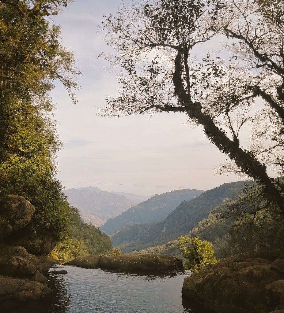 Me he tomado un respiro para regresar, solo diré que estoy muy emociónado.