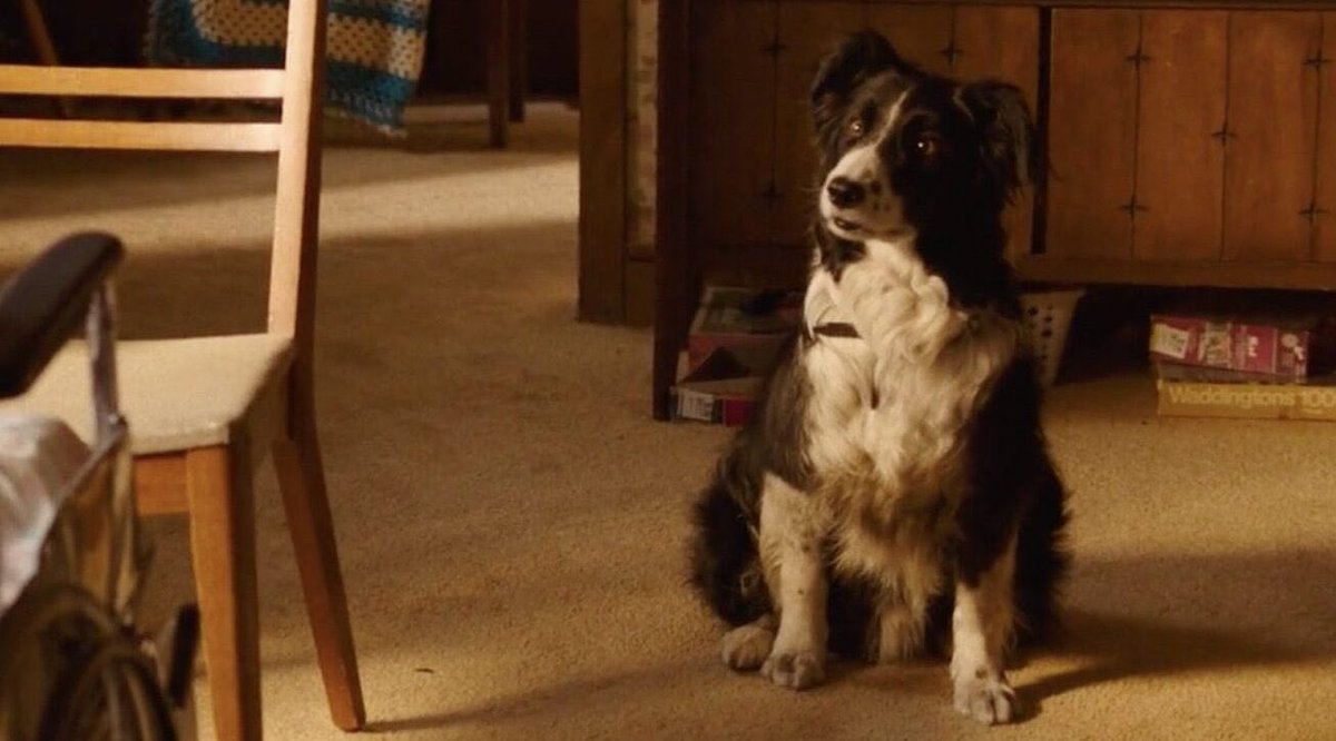 The scene gave me chills. Reminds me of the scene with the old lady in It chapter 2