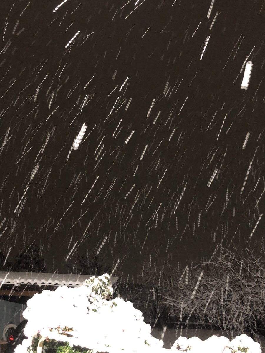 ….cavoli sta nevicando….❄️❄️❄️