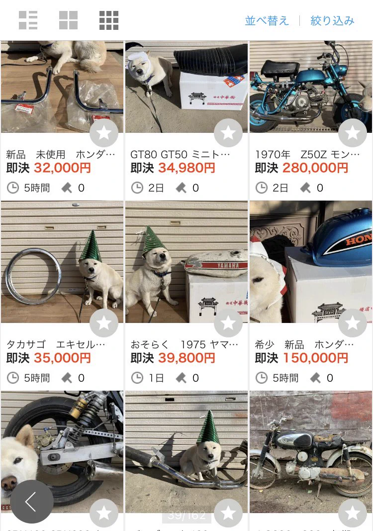 ヤフオクの出品者のクセがすごい！ワンコで内容入ってきませんｗ