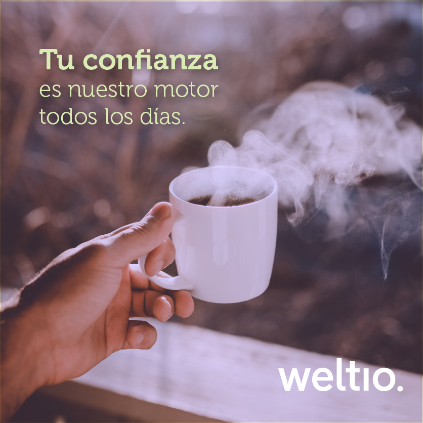 Weltio tweet media