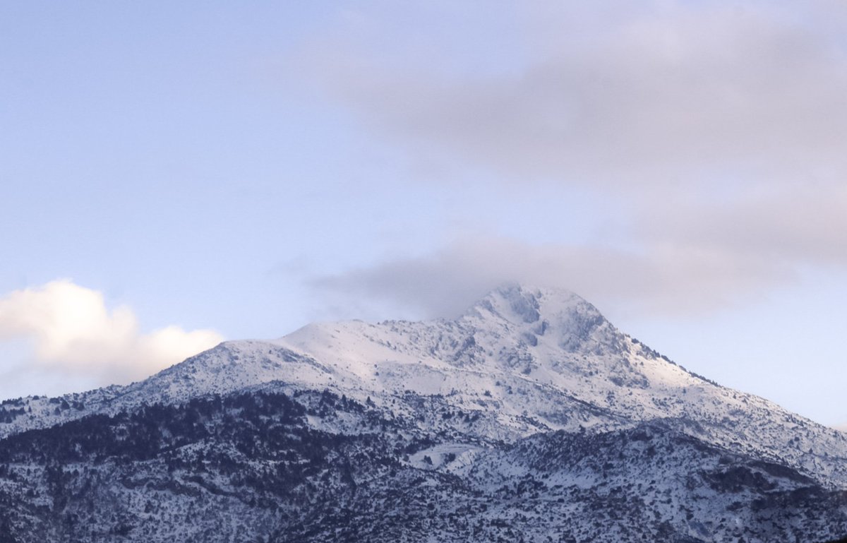 Capture Project tweet media