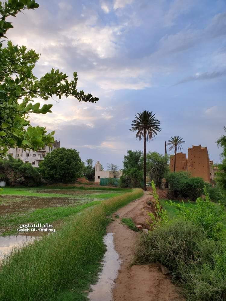 من مديرية الصعيد ❤️
صباح الله عليكم بكل خير ☀️

تصوير: صالح اليسلمي