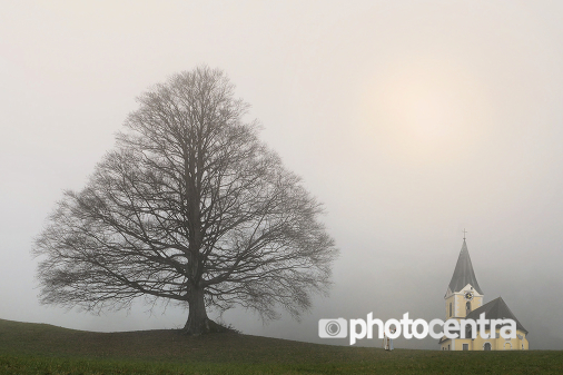 photocentra's tweet image. photocentra.com/work/1076328 *** - Josef Hinterleitner #nebel #baum #priester #kirche #sonne #photographer #photography #photocommunity