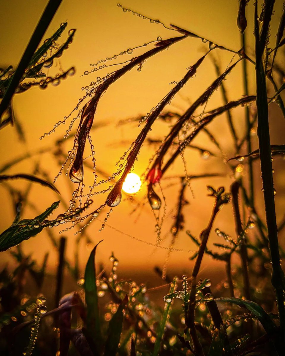 tw_donbrilliant's tweet photo. Good morning Nature Lovers💕
#KeepNature https://t.co/siDZaA99Yb