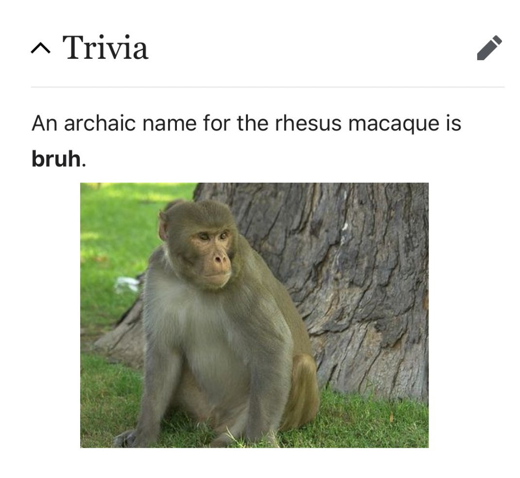 depths of wikipedia! (@depthsofwiki) on Twitter photo 