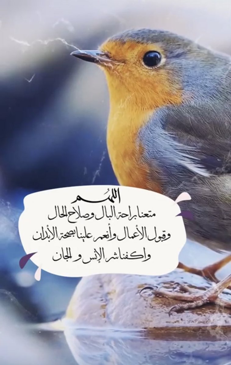 sha2323sh's tweet photo. #صباح_الخيرᅠ https://t.co/tGT3mqaGzN