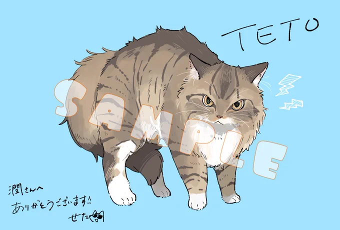 skeb納品しましたもはや芸術的なやんのかポーズめっちゃ笑いました…かわいすぎる!!もふもふ加減も白い靴下も最高にキュートなテトちゃん、楽しく描かせていただきました!コメント&amp;ブーストまで大変ありがとうございました恐縮です 