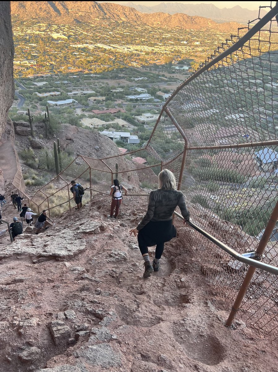 David Faltys tweet media