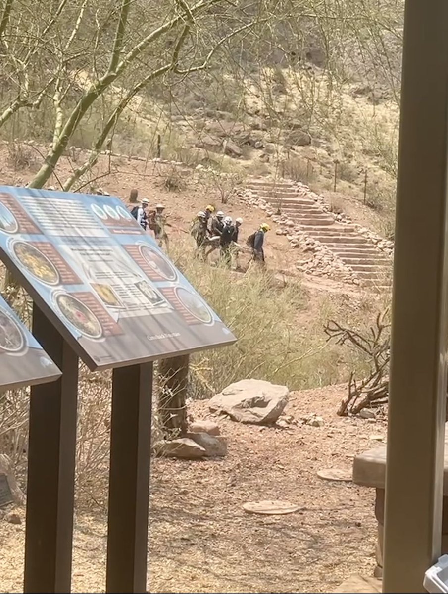 David Faltys tweet media