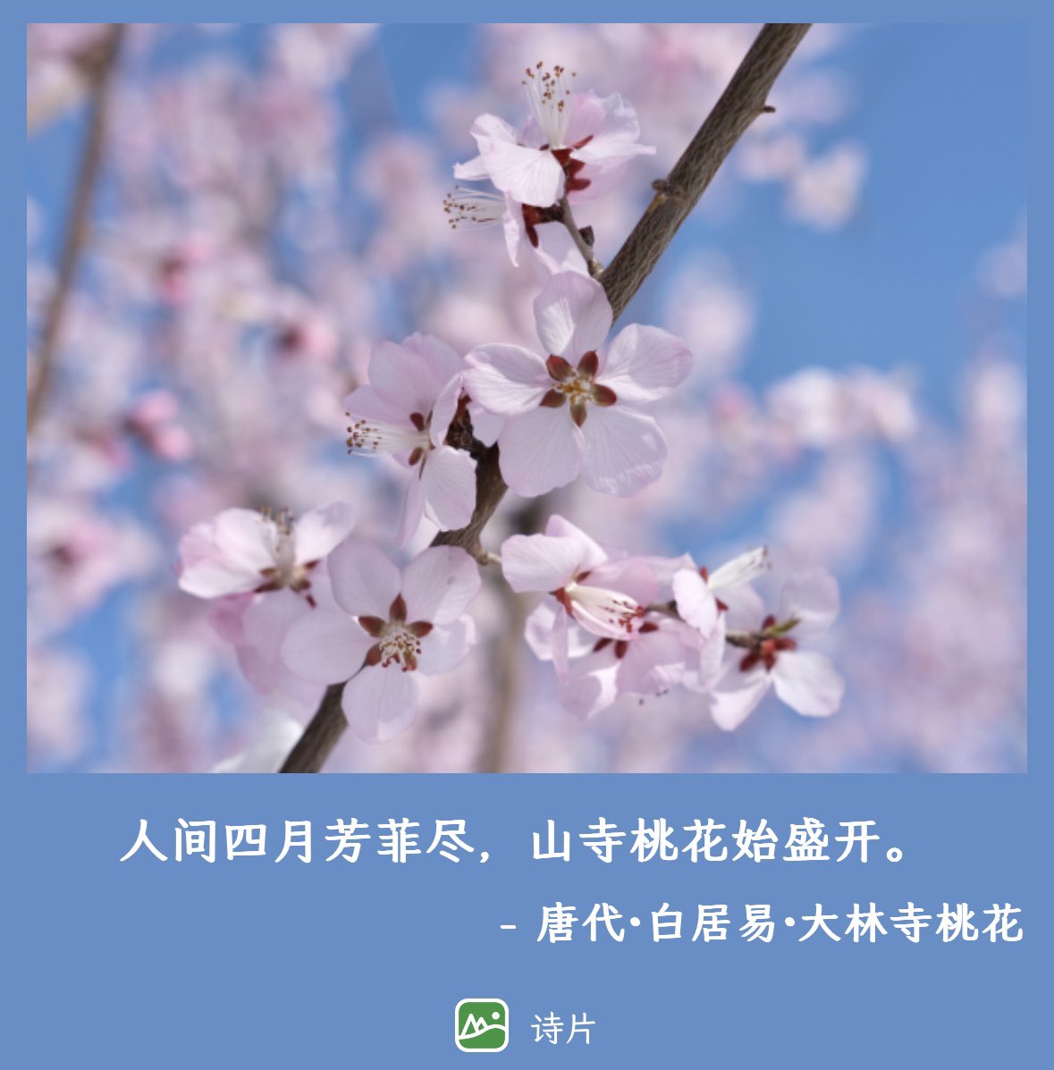oran_ge's tweet photo. 有时候拍完照片，想给照片配字，但又不知道配什么文字。
推油 @no13bus 做了一款给图片配上古诗词的产品，通过 AI 识别图像内容，然后自动匹配诗词，使用非常简单，效果见图：
体验地址：https://t.co/QzvHWSpQGp https://t.co/vveyKqf33x