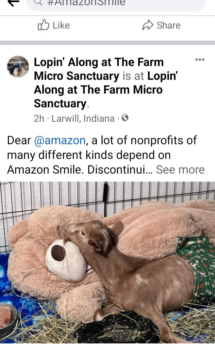 shesova's tweet photo. Just got our 5013c signed up for #AmazonSmile and now they taketh away! Lots of complaints on Facebook @AmazonHelp #BringBackAmazonSmile https://t.co/qVCDXRUkx3