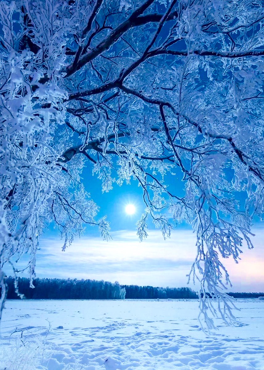 KRYSTALRAIN77's tweet image. 