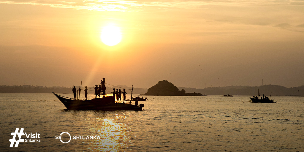 tourismlk's tweet photo. Head to the beach early morning and you’ll see more than just a magical sunrise! Keep your eyes peeled for the fishing boats in the distance gathering up their catch of the night.
.
.
.
#SoSriLanka #ExploreSriLanka #VisitSriLanka #SriLankaTourism #SriLankaTravel #SriLanka https://t.co/01oeGpwmp9