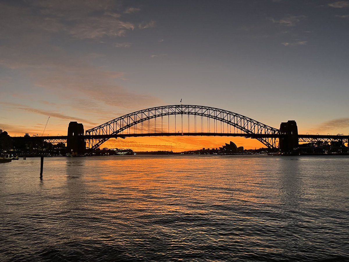 Luke Gilmour tweet media