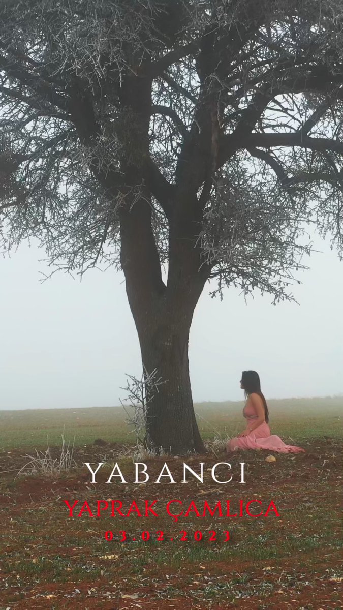 Yaprak Çamlıca tweet media