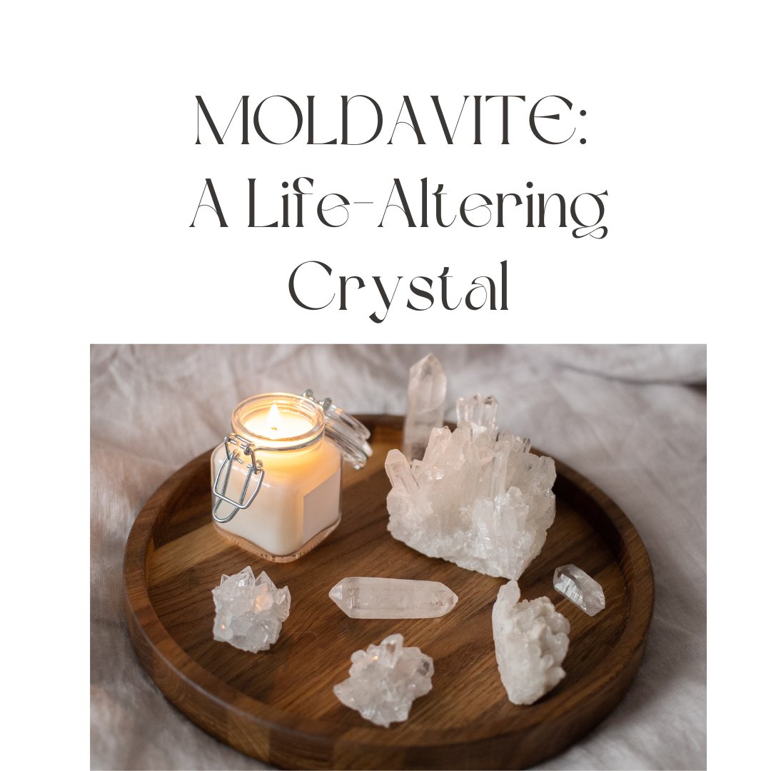 angelsouls444's tweet photo. Moldavite: A Life-Altering Crystal Live Session, February 5, 2023 6:00 PM PST/9:00 PM EST. Tickets $22.22
Remit payment through Paypal to angelsouls444@gmail.com
#moldavite, #crystal, #lifepath, #spiritualgrowth, #lifemovement, #lifechange, #spiritual, #spirituality, #energy https://t.co/7OXXiDDclL
