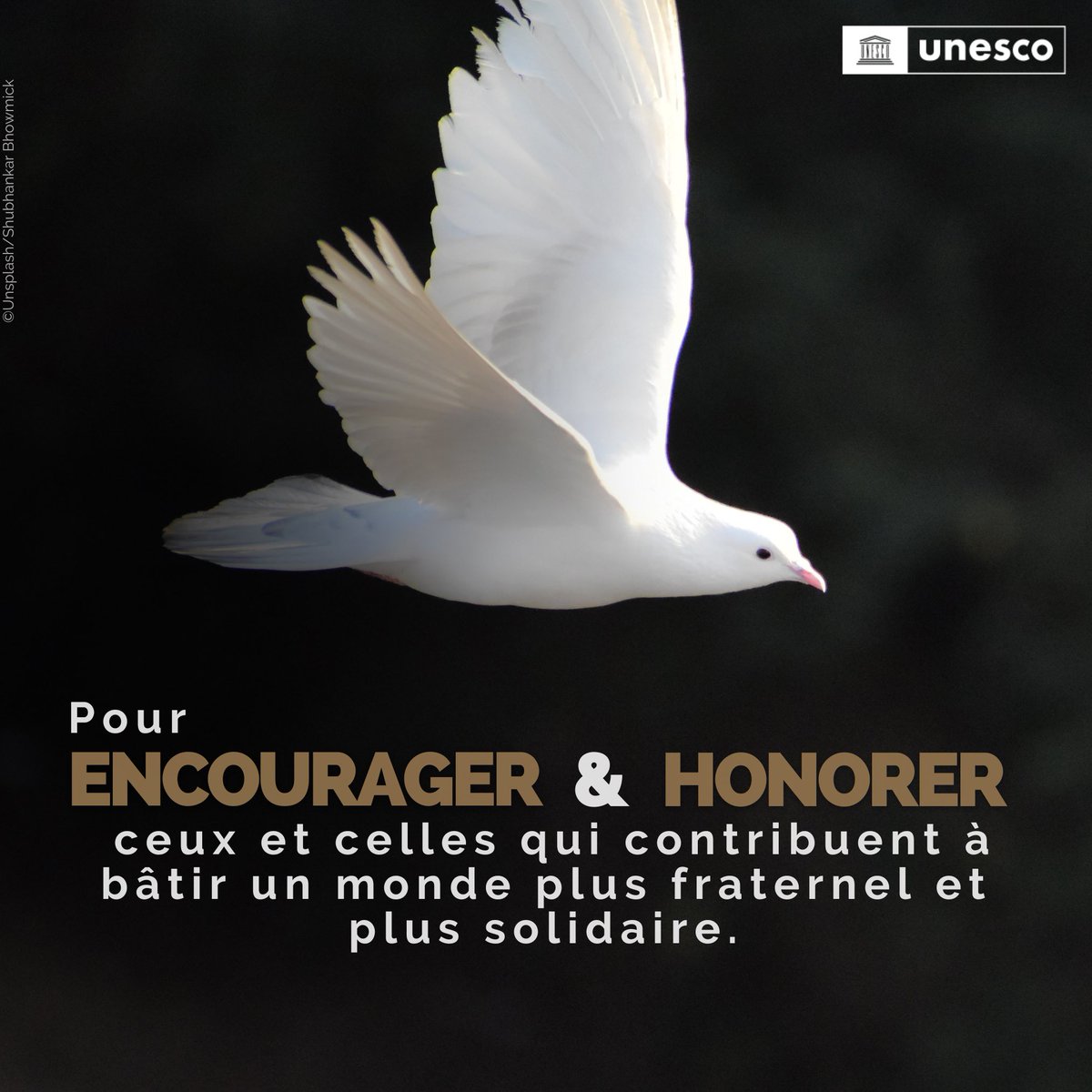 UnescoCIV's tweet photo. #Zoom sur le Prix #FélixHouphouetBoigny- @UNESCO pour la Recherche de la #paix qui se tiendra à #Yamoussoukro, ce 8 février.
Cet événement international mobilisera divers acteurs du 🌏 entier qui œuvrent à bâtir un monde plus sûr et plus pacifique. https://t.co/NLSUHJ3R4P