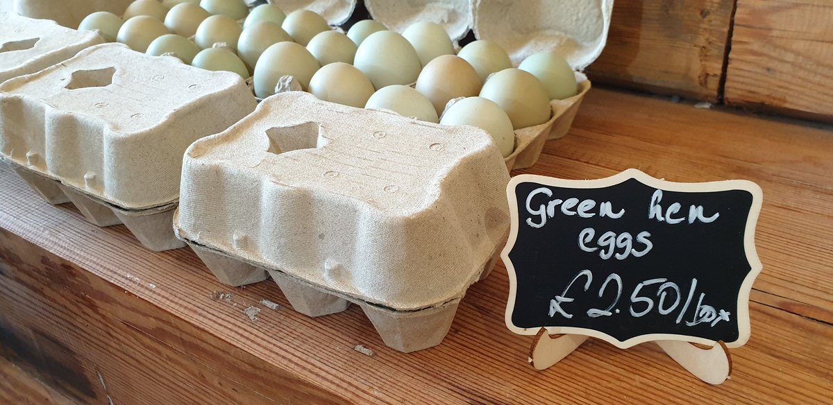 Buying fresh #eggs #woodleafarmshop literally 5min from us, #shopsmall #eatlocal #bekindtoplanet #goodfood #scotfoodanddrink