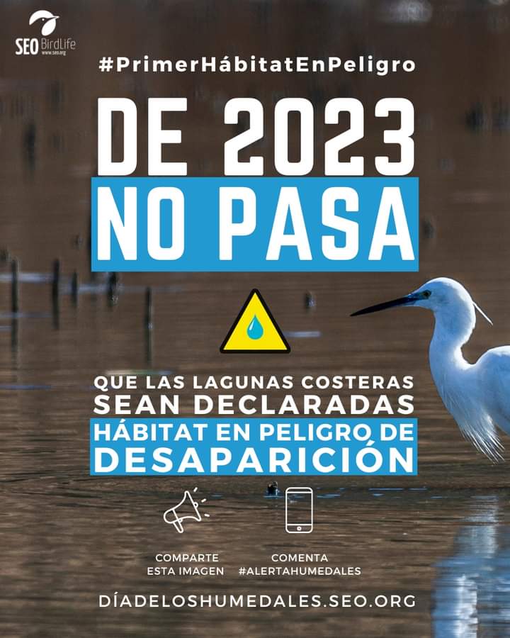 seo_sur's tweet photo. Nuestros humedales se secan y hoy en el #díamundialdeloshumedales
queremos poner en valor la importancia de su conservación y cuidado. Conservar estos ecosistemas es consevar las aves que habitan, tanto residentes como migrantes,algunas en peligro de extincion.
#seobirlife https://t.co/0k3q6k4zh5