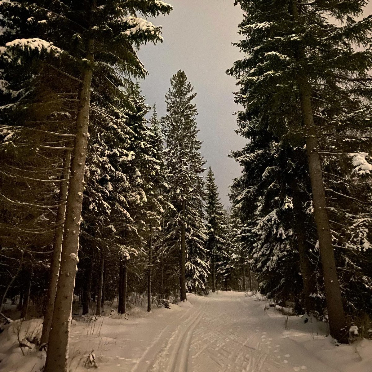 nordicteija's tweet photo. Ja tässä hiihtomaisemaa. Se mikä pohjosessa asumisessa on huonoa, että talvella virka-aikaan töissä oleva ei pääse arkena valon aikaan ulos. Tuolla ladulla on tosi pimeää. Otsalampulla näkee vähän. Puhelin valottaa kuvat pitkällä valotuksella. #oulu #hiihto #ladulla https://t.co/oK1CUQSHpF