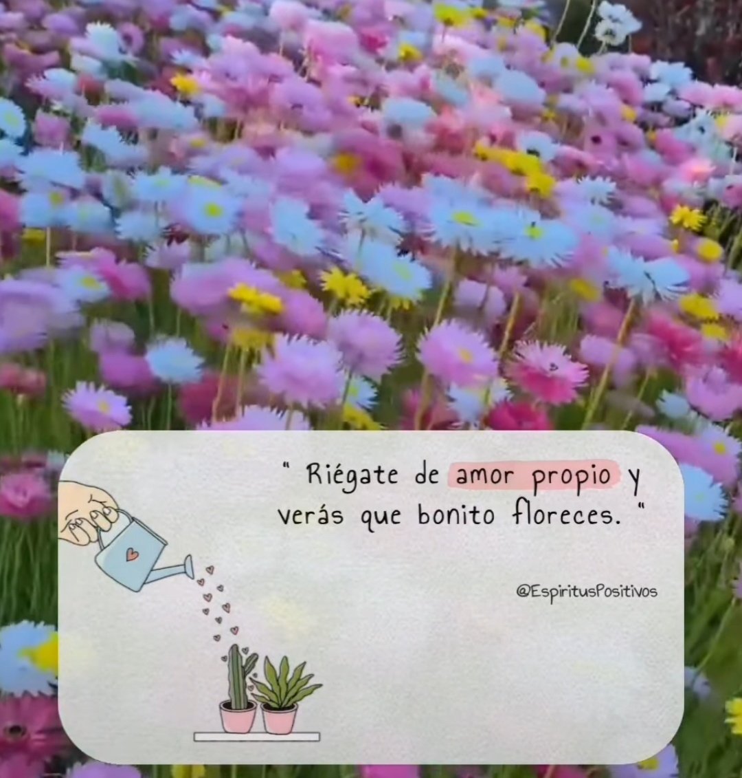 vanesitajb's tweet photo. ~ 🦋 https://t.co/0703HKUZb2