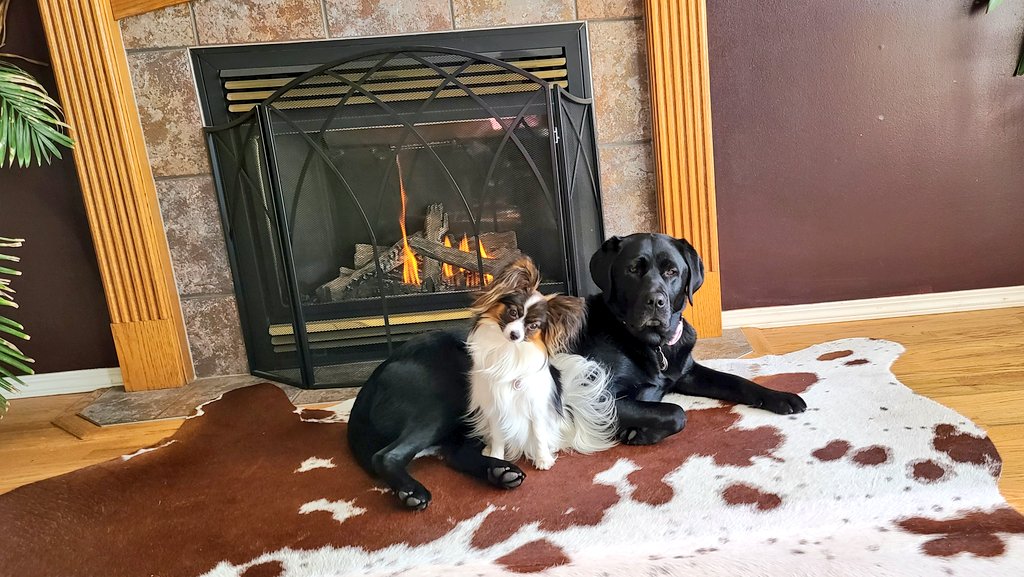 It's too cold out there today. You'll find us right here!!