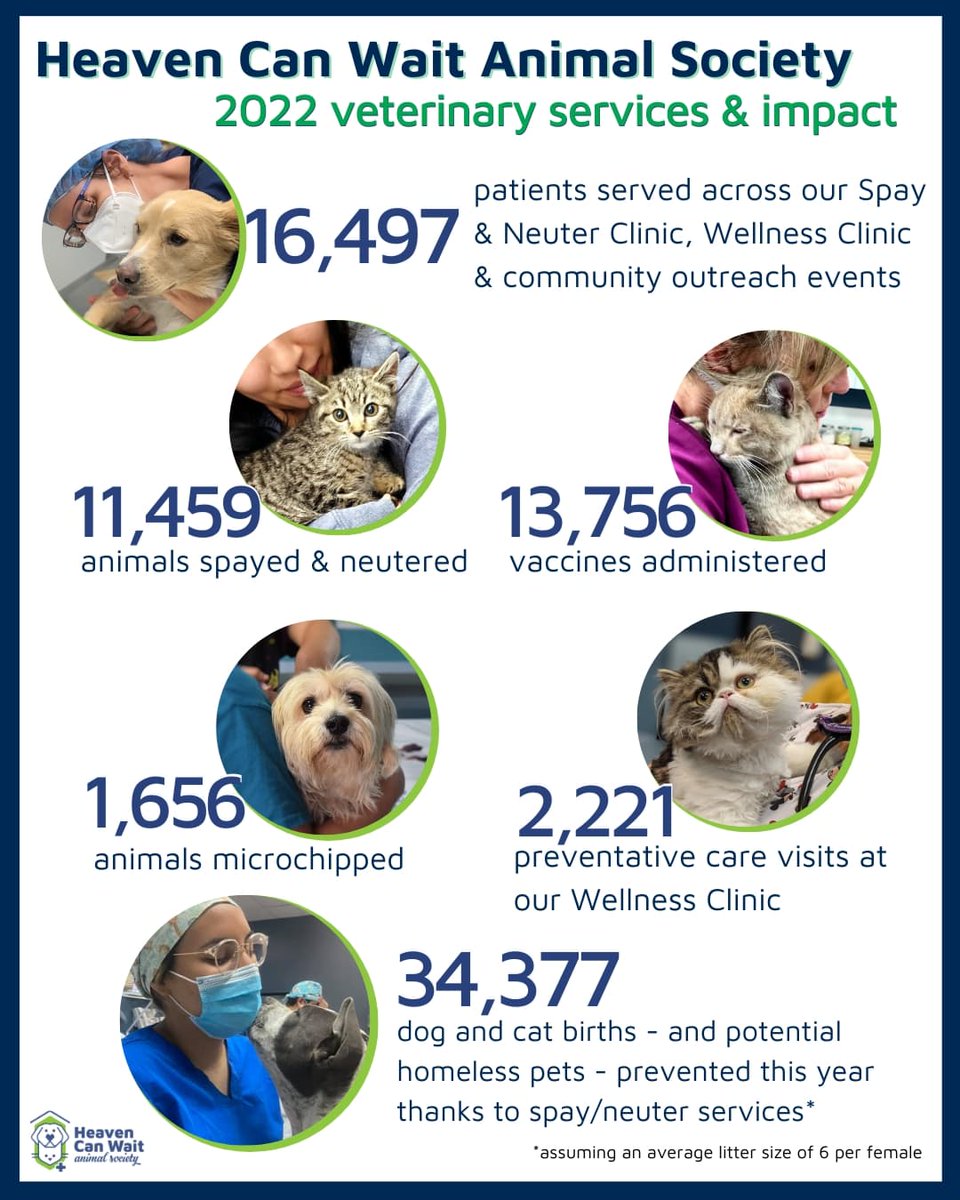 We are blown away! 💕 These impact numbers for 2022 were made possible by supporters like YOU! Thank you! 🐶🐱 #grateful  #nonprofit #lasvegasnonprofit #heavencanwaitlv #animalloversunite #2022recap #animaladvocate #spayneutersaveslives #MakingADifference
