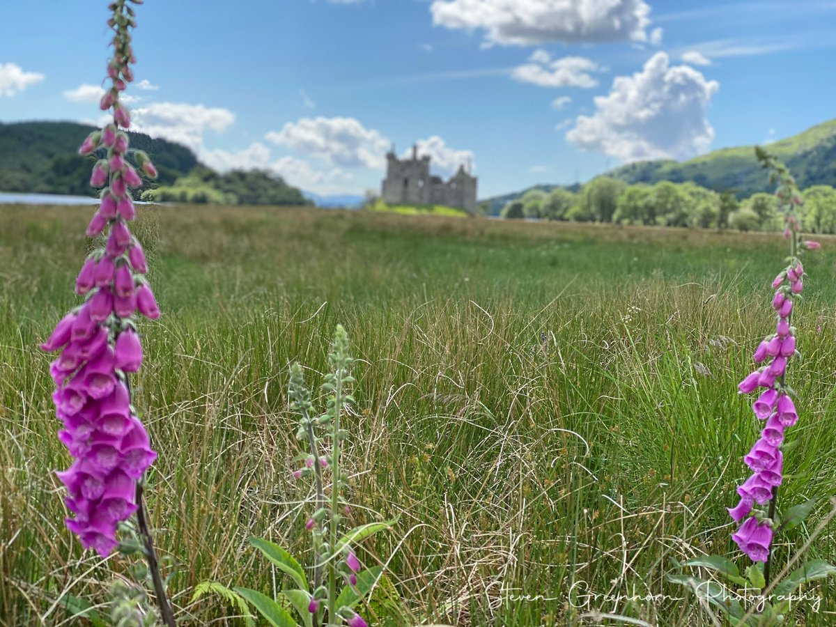 Edinburgh Black Cab Tours tweet media