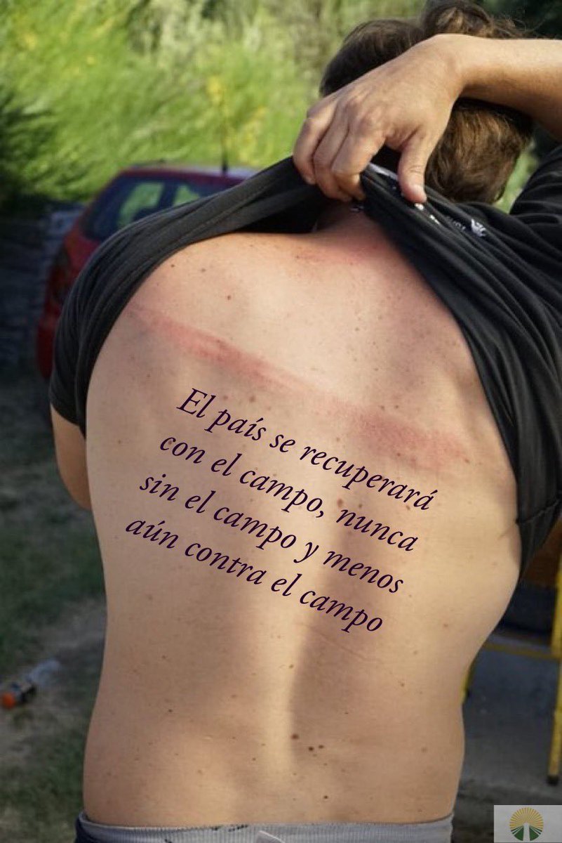 P.I.J.A. 🌽 🇦🇷 (@pijafederal) on Twitter photo 