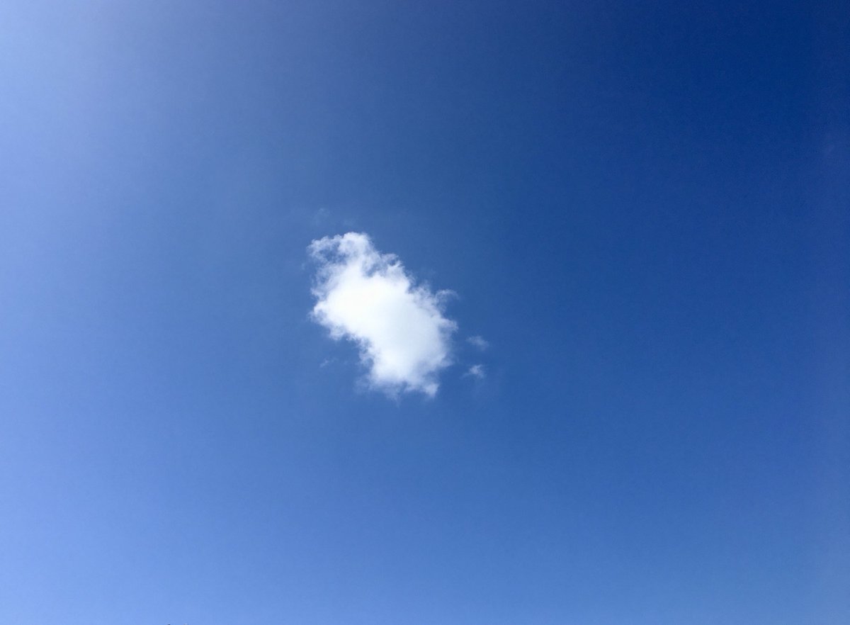 Dear frozen stiff northern friends; Tired of shoveling snow. Ice storms. Scraping the windshield on your cars. Slipping on ice and bruising your Fanny. Slide on down to Florida next week where were expecting low  80’s (sorry).