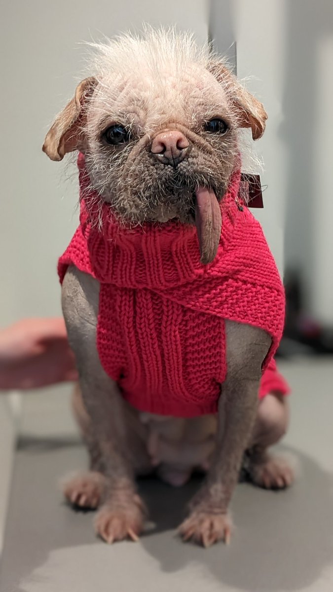 Simon Spark tweet media