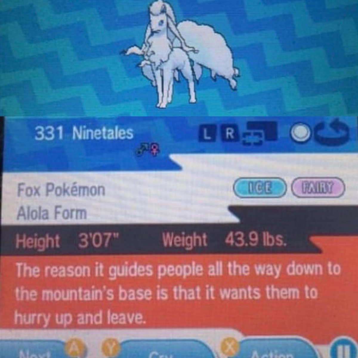 PokemonGems's tweet image. 