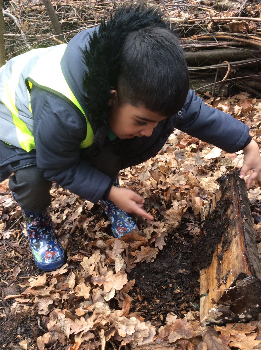 oakwoodEY's tweet image. Reception had an amazing time @SkeltonGrange. #succeedtogether
#eyfsoutdoorlearning